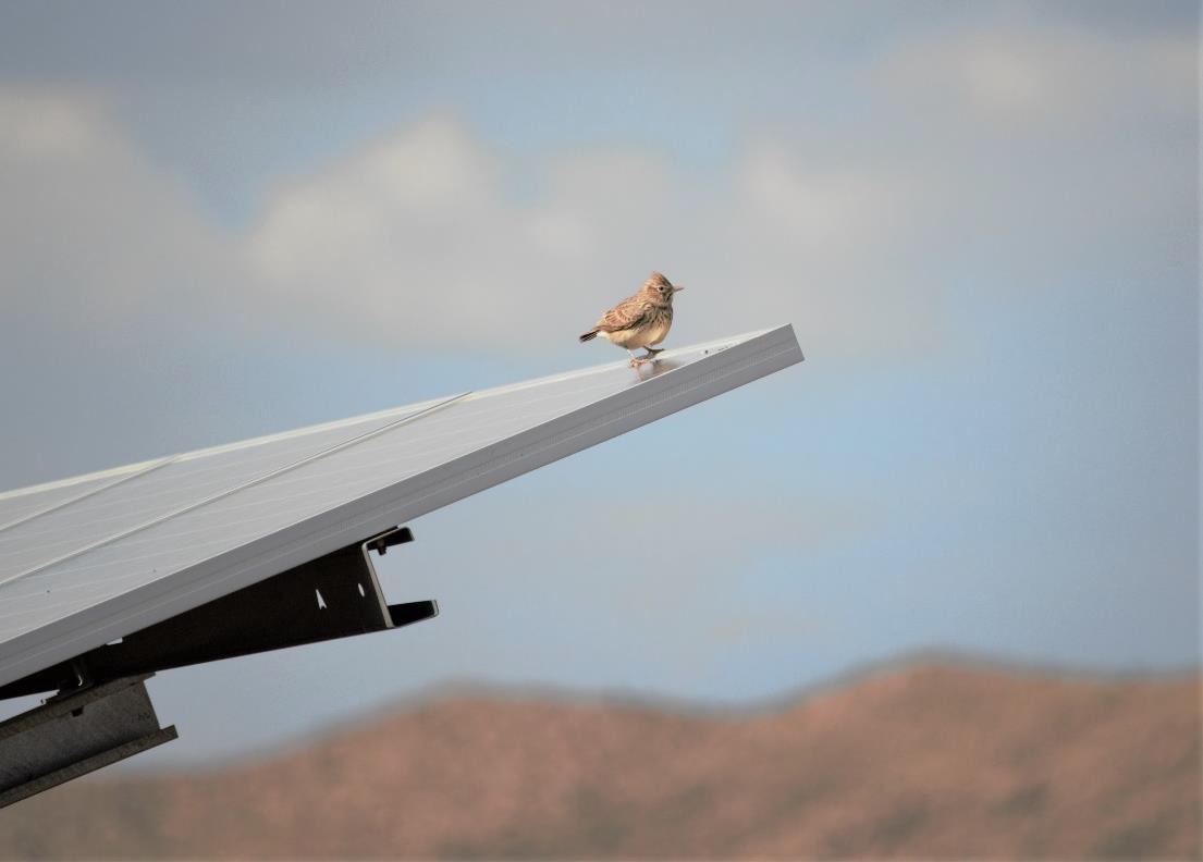 Solar Panel in Almeria